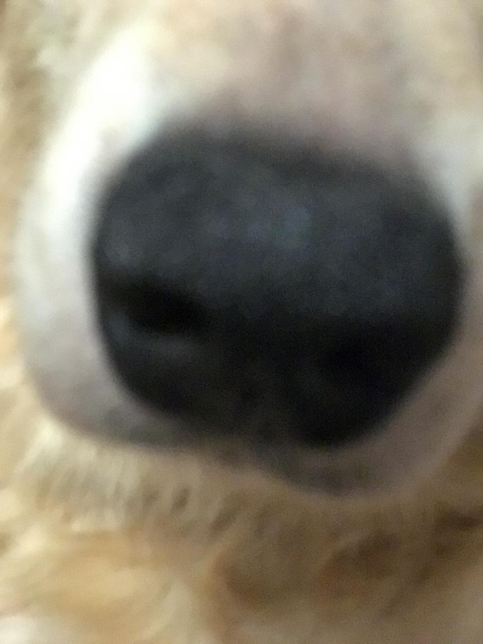 オイスターハウス Oyster House うちの犬インスタに上げたら再生回数多くてびっくりした 工