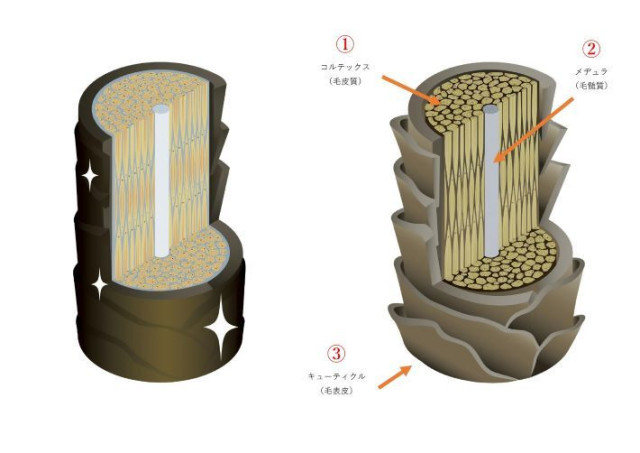 髪質改善には３ステップが必要