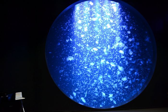 低刺激ヘアカラー