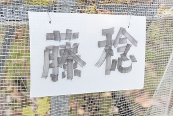 一目で種類の分かる看板