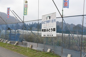 豊かな自然の中にあるぶどう園