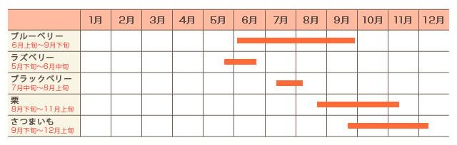 年間カレンダー（例年）