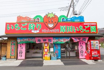 道路からも目立つ外観の原田いちご園