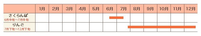 年間カレンダー（例年）