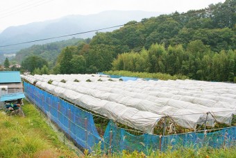 自然豊かな静かな集落にある本好農園