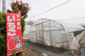 いちごの看板が石田いちご園の目印