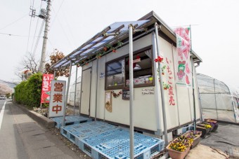 石田いちご園の苺（いちご）の直売所