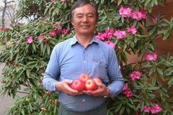 オーナーが追求する高原野菜＆フルーツの魅力がいっぱい