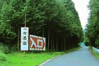 一作農園の大きな看板が目印