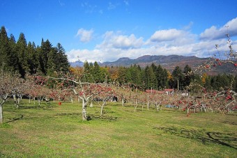 クワ1本で開墾した一作農園