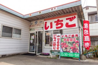 伊藤園芸いちごハウスの外観