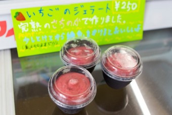 伊藤園芸いちごハウスのさちのかで作ったジェラート