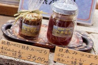 希望の丘で採取した純粋100%蜂蜜