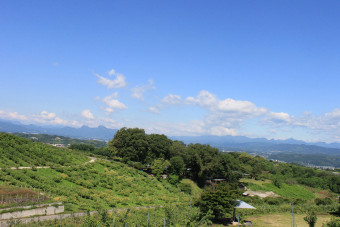 山々が見渡せる素晴らしい景観の広大な敷地