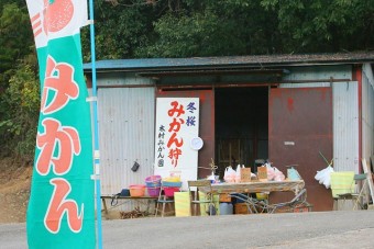 「木村観光みかん園」の売店兼受付