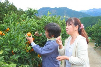 「毎年来ています」というリピーターが多い