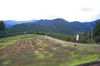 園の入口まで舗装されているのでお年寄りにも優しい