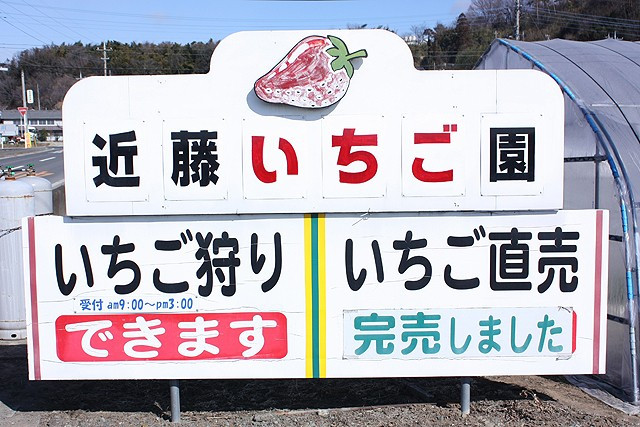 近藤農園 群馬 みどり市のいちご狩り 近藤農園 群馬 みどり市のいちご狩り