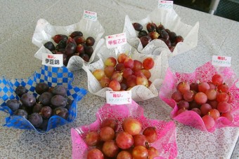 試食をしてからぶどう狩りへ