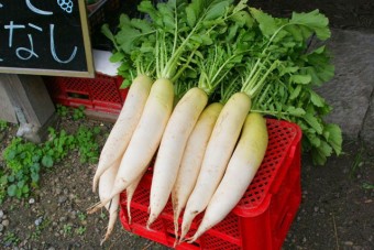 採りたての野菜も販売している