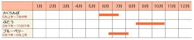 年間カレンダー（例年）