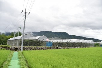 自然に囲まれた広い果樹園