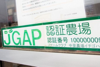 JGAP認証農場で安心安全な苺（いちご）を栽培