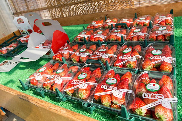 ファームクラブ中里農場 - 群馬・高崎のいちご狩り