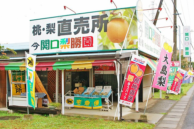 関口梨勝園 - 群馬・前橋のくだもの狩り