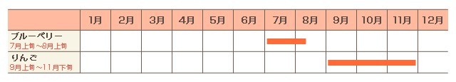 年間カレンダー(例年)