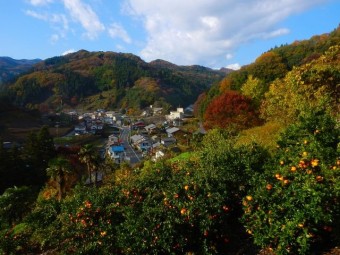 段々畑からの景色も抜群