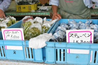 料金は種類によって1㎏800円から2000円