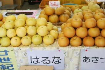 ピカイチの糖度とフルーティーな香りの「はるな」