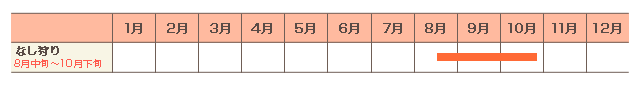 年間カレンダー（例年）