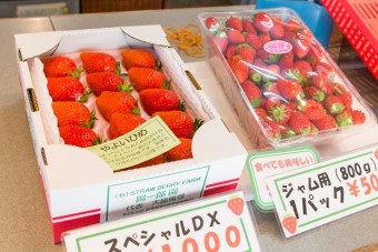 直売所では摘みたてのいちごなどを販売