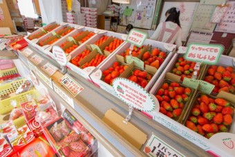 陽一郎園の直売所は苺（いちご）やお土産も充実