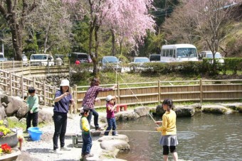 たくさんの桜が植えられる園内