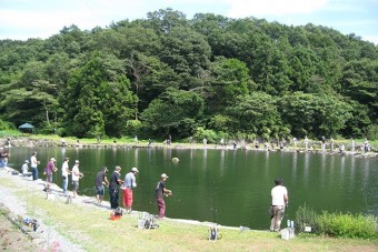 豊かな緑の中で自然を満喫