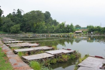 水面に浮くように設けられる足場