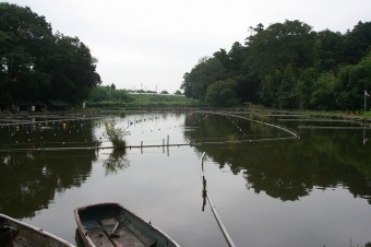 穏やかな湖面が特徴