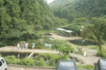 つかみ取りもできる貸切池もあり