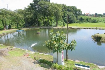 水は利根川から