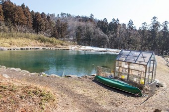 温室では珍しいメダカを飼育