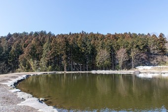 赤城の地下水を引いた澄んだ池が魅力