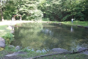 虫の音と鳥のさえずりが心地よい