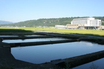 魚ごとの池。魚種の豊富さが自慢だ