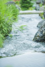 薄根川からの良質な水