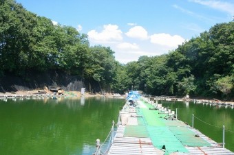 緑に囲まれた湖