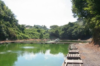 桜や藤の花で彩られる季節もある