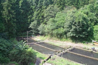 近くで湧き出る榛名山の湧き水で養殖